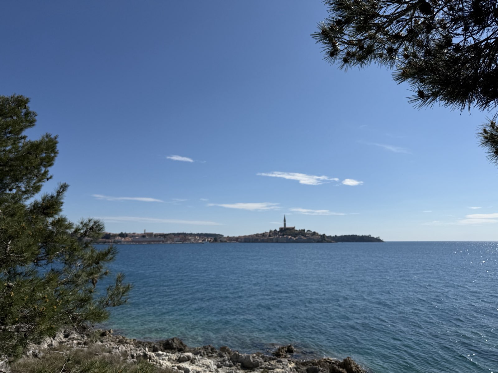 Pohled na Rovinj přes moře a borovice